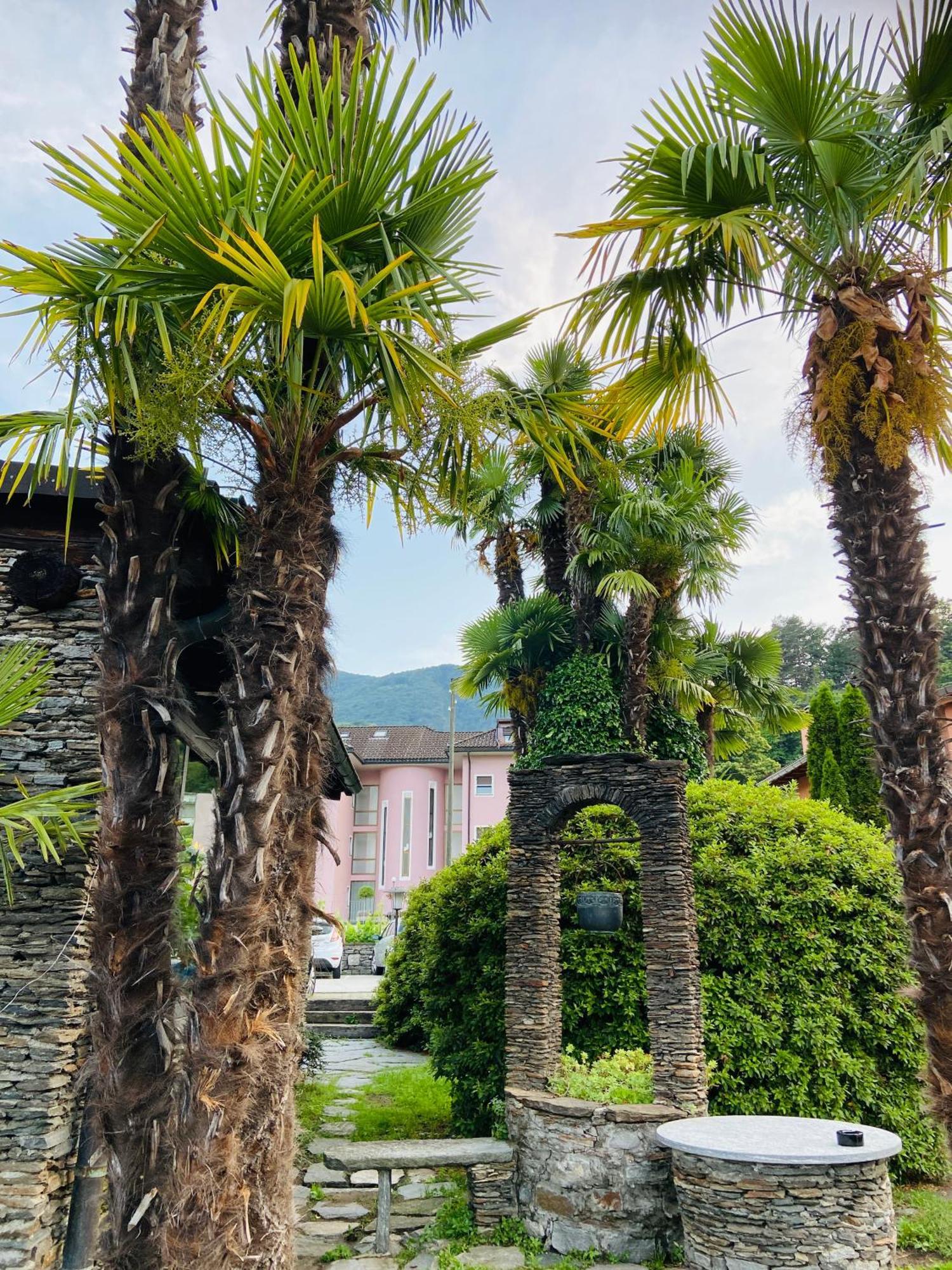 Albergo Pensione San Giorgio Losone Exterior photo